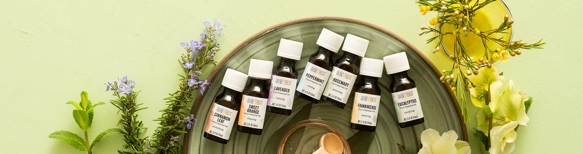 Aura Cacia essential oil bottles displayed with green botanicals